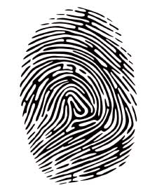 Fingerprint Image