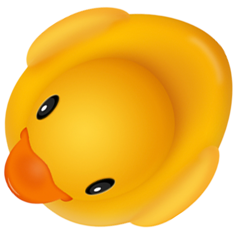 duck-pool.png